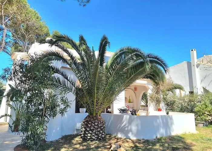 Casa Lesandar Ferienhaus Auf Mallorca