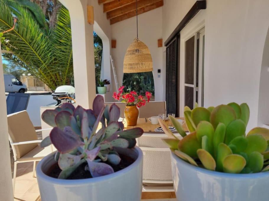 Ferienhaus Casa Lesandar Auf Mallorca Felanitx