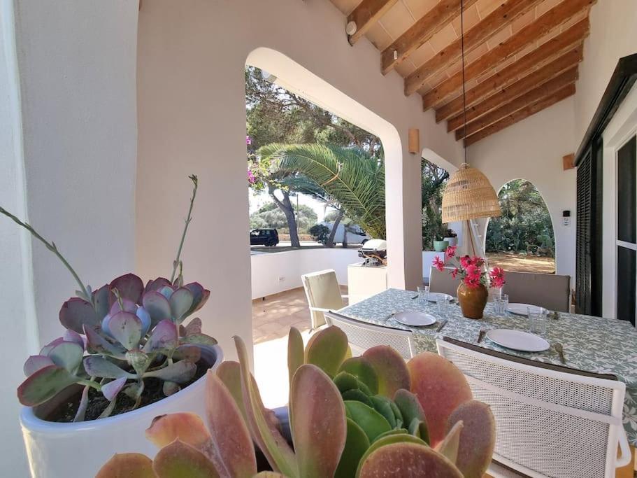 Ferienhaus Casa Lesandar Auf Mallorca