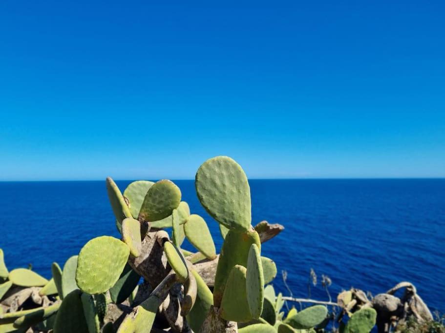 Ferienhaus Casa Lesandar Auf Mallorca Felanitx