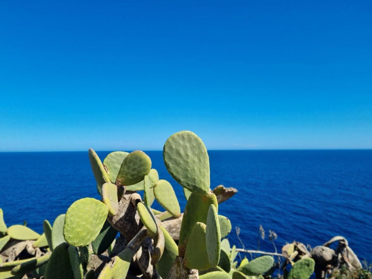 Casa Lesandar Auf Mallorca Felanitx