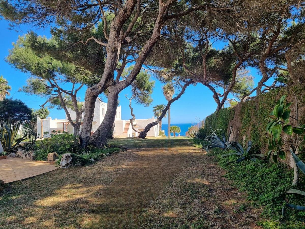 Casa Lesandar Auf Mallorca Ferienhaus Felanitx