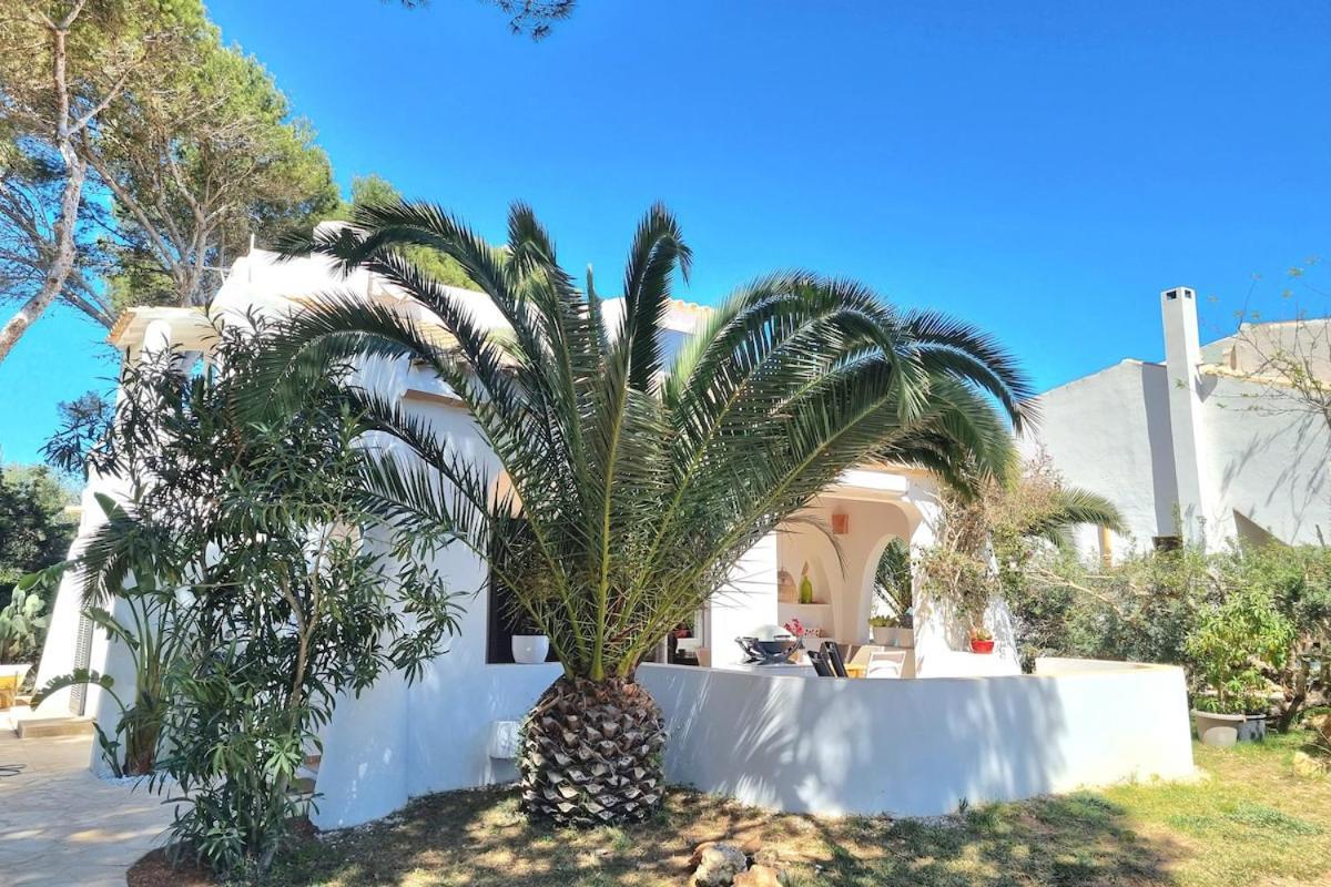 Ferienhaus Casa Lesandar Auf Mallorca Felanitx